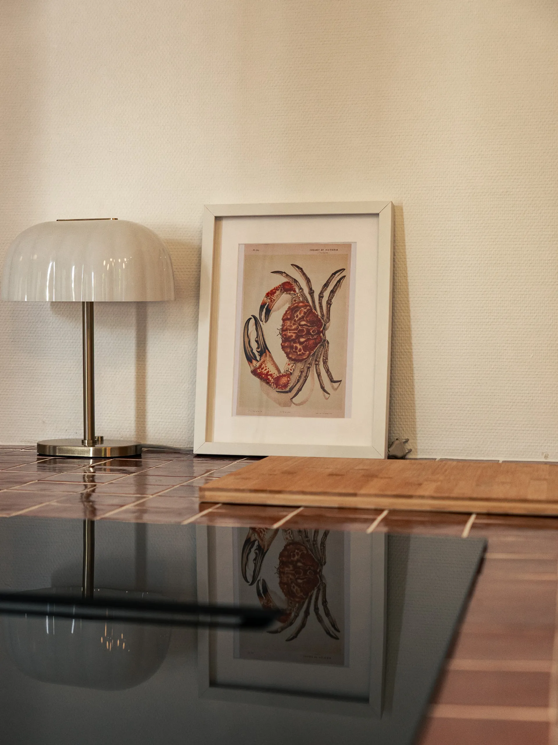 PLAQUE HOTTE INTEGRER SUR ILOT DE CUISSON AVEC DECORATION INTERIEUR